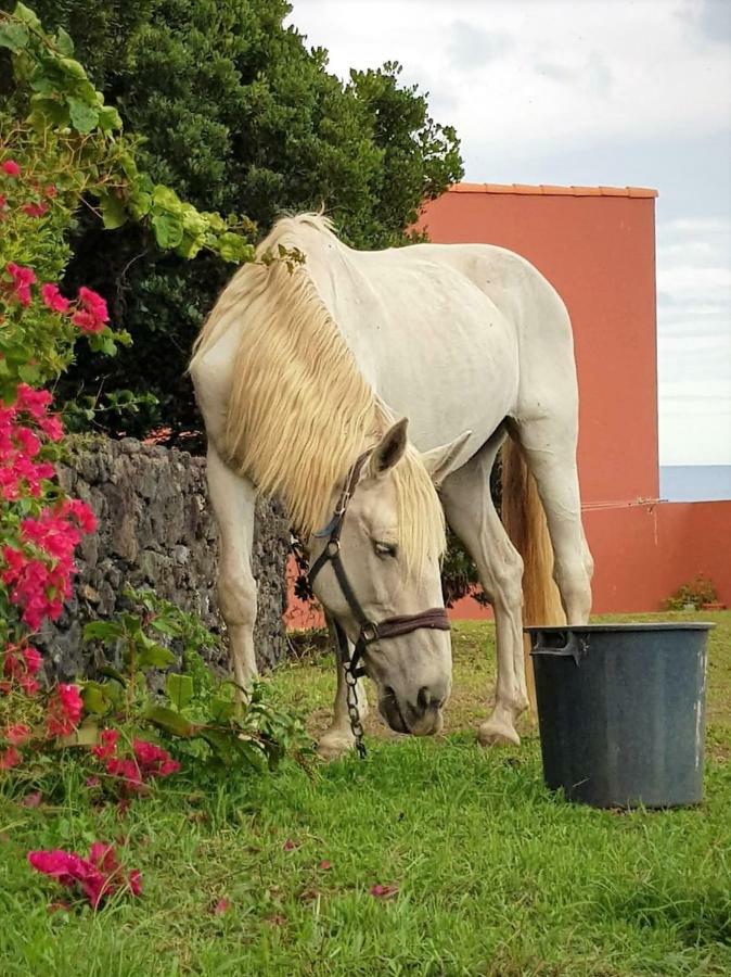 Quinta Da Falesia - Casa Amarela Ponta Delgada المظهر الخارجي الصورة