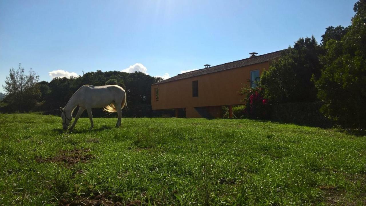 Quinta Da Falesia - Casa Amarela Ponta Delgada المظهر الخارجي الصورة
