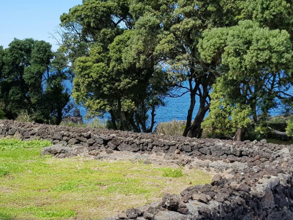 Quinta Da Falesia - Casa Amarela Ponta Delgada المظهر الخارجي الصورة