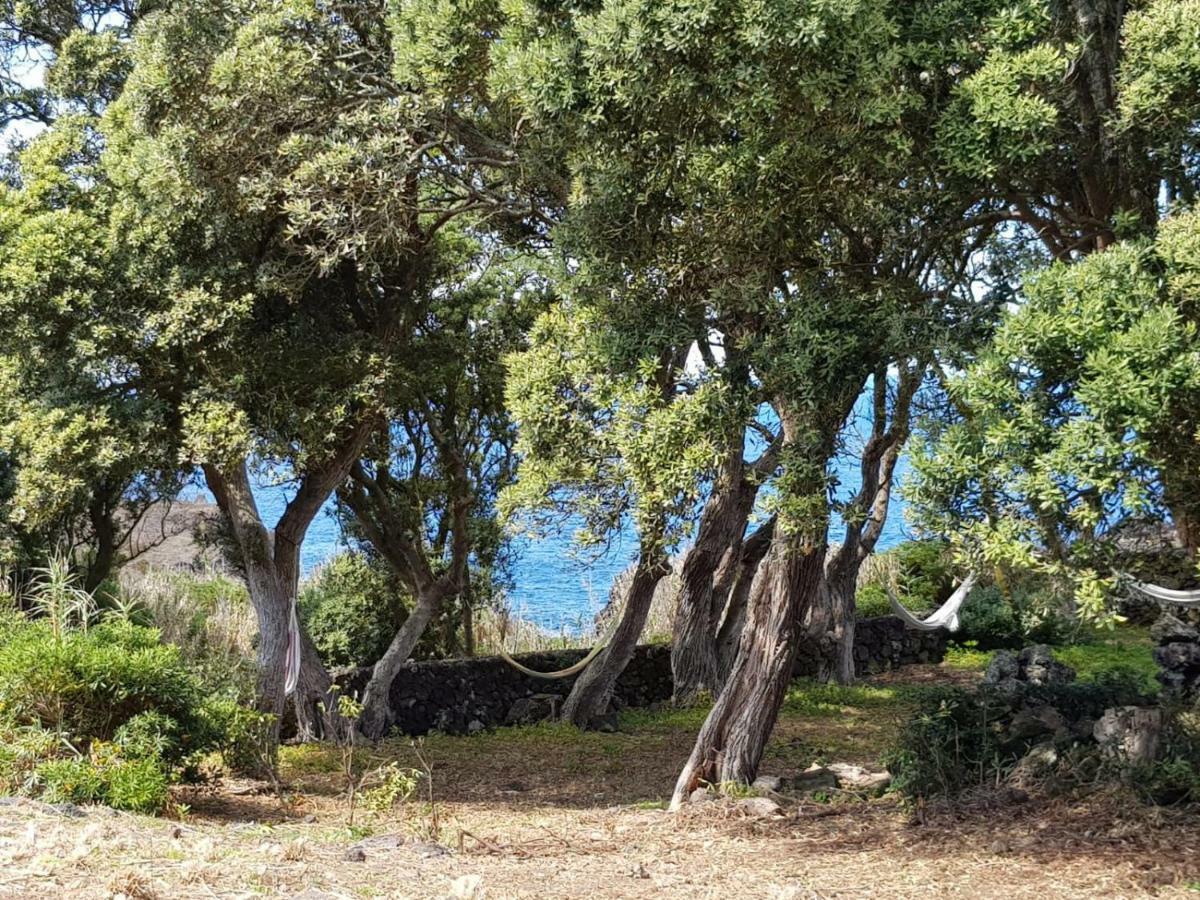 Quinta Da Falesia - Casa Amarela Ponta Delgada المظهر الخارجي الصورة